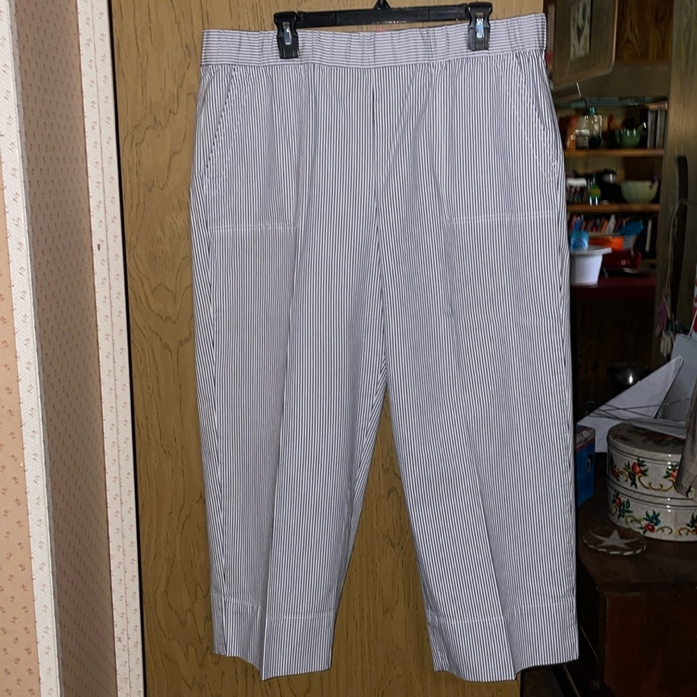 Talbots ankle wide leg pant